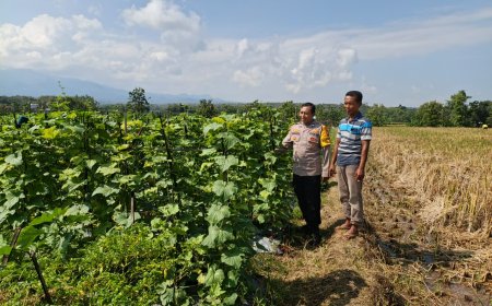 Bhabinkamtibmas Banjarsari Kulon Dorong Pekarangan Pangan Bergizi untuk Ketahanan Pangan